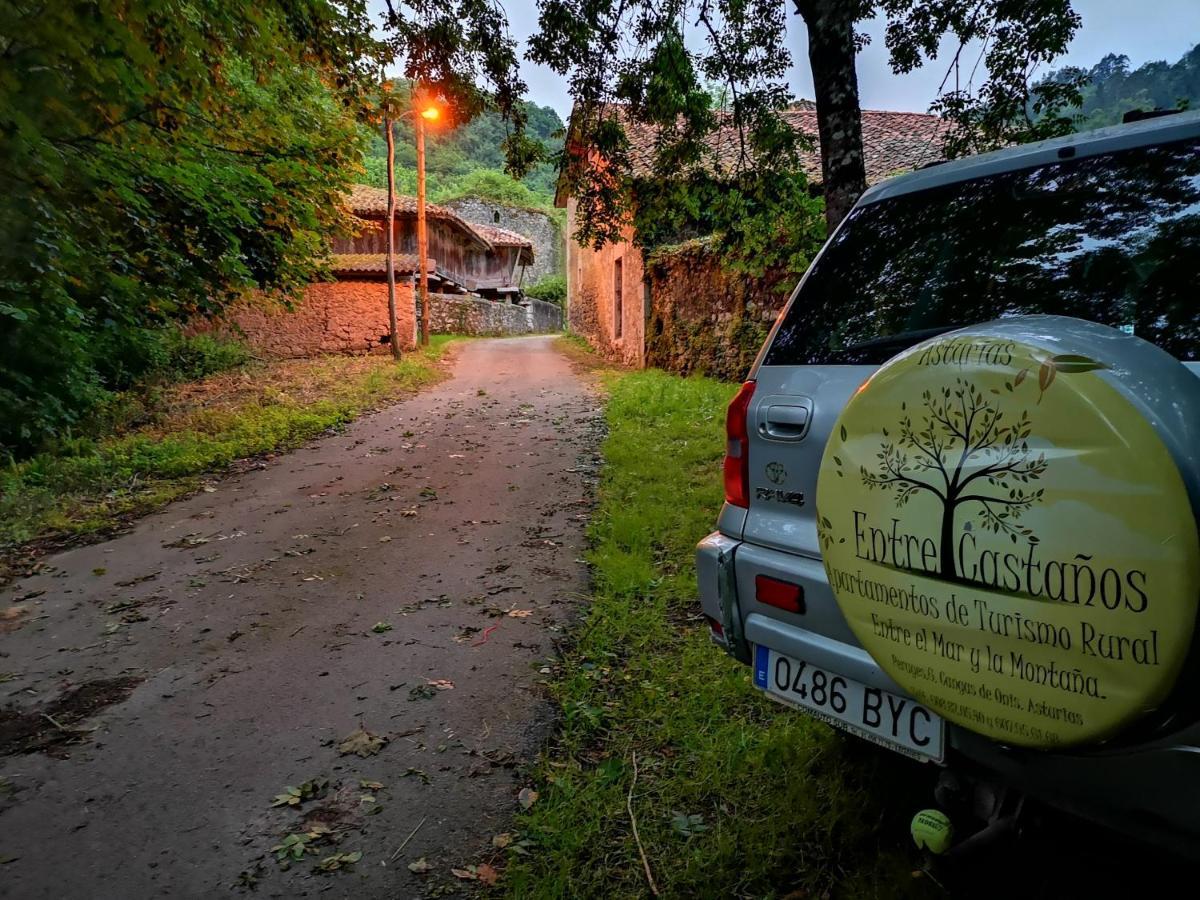 Casas Rurales Entrecastanos Cangas de Onis Exterior photo
