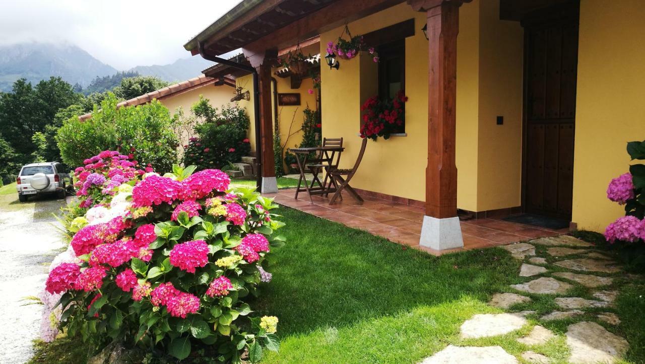 Casas Rurales Entrecastanos Cangas de Onis Exterior photo